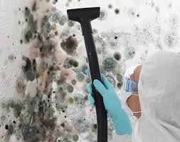 Why You Should Choose Our Mold Remediation Services in Indian Hills, KY